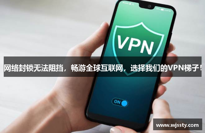 白鲸加速器使用方法
