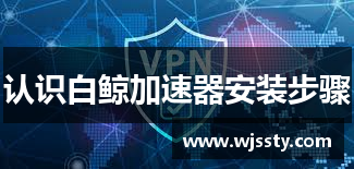 认识白鲸加速器安装步骤